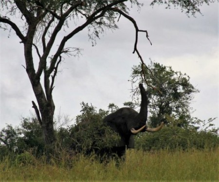 Uganda, Pakwach (2013)
